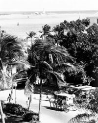 Horse drawn carriage on a coastline in Nassau, Bahamas high angle view poster print.