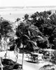 Horse drawn carriage on a coastline in Nassau, Bahamas high angle view poster print.