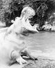 Hippopotamus Yawning Poster Print showcasing a playful hippo.