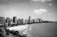 Buildings on the Waterfront Chicago Poster Print showcasing the city's skyline.