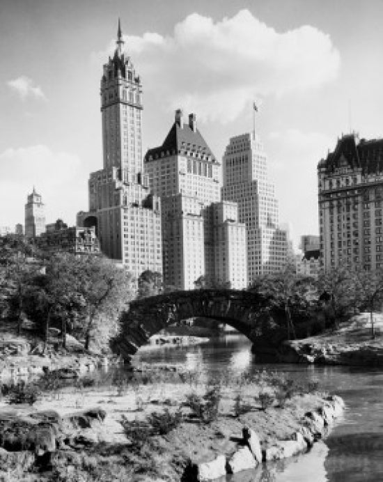 Low angle view of skyscrapers in Central Park, New York City poster print.