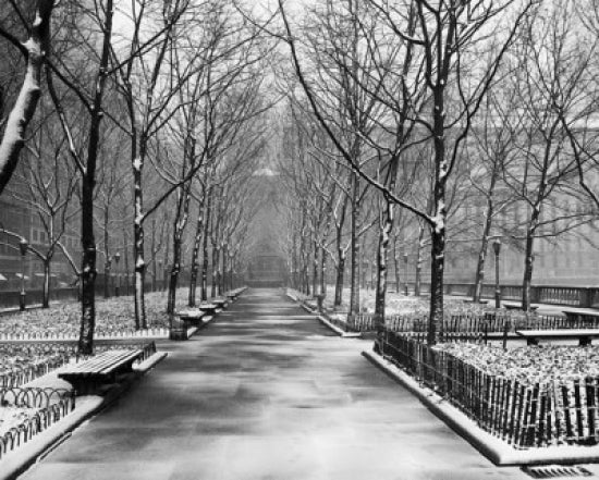 Bare trees in Bryant Park, Manhattan poster print showcasing winter beauty.
