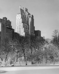Poster print of bare trees in Central Park South, Manhattan, New York City.