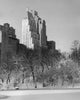 Poster print of bare trees in Central Park South, Manhattan, New York City.
