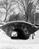 Snow-covered footbridge in Central Park, New York City poster print