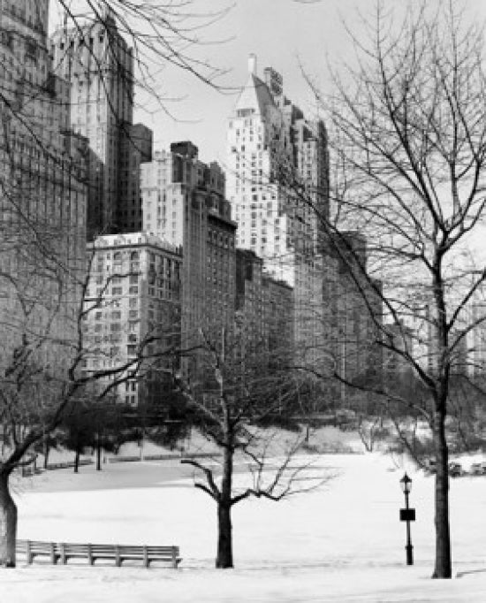 Bare trees in a snow covered park poster print depicting Central Park in Manhattan, New York City.