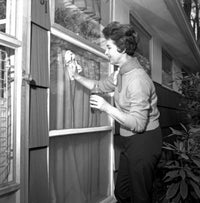 Woman cleaning window poster print on heavy stock paper.