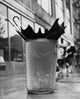Two Umbrellas in a Garbage Can Poster Print