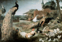 The Crow in Peacock Feathers oil painting by Frans Snyders, showcasing vibrant colors and intricate details.