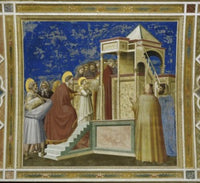 Presentation of the Virgin in the Temple Fresco by Giotto di Bondone, vibrant art print.