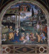 Adoration of the Shepherds Fine Art Poster Print by Pintoricchio