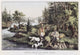 Hunting, Fishing and Forest Scene Poster Print by Currier & Ives