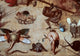 Detail of Temptation of St. Anthony by Hieronymus Bosch art print.
