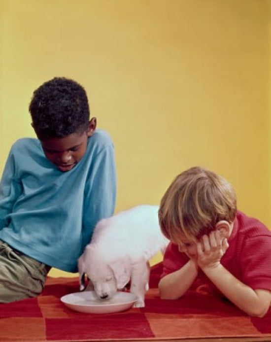 Close-up of two boys looking at a puppy drinking milk from a saucer poster print.