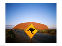 Kangaroo road sign poster print featuring Ayers Rock background