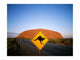 Kangaroo road sign poster print featuring Ayers Rock background