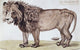 The King of the Beasts Poster Print by Felix Dogherty, 19th Century American Art