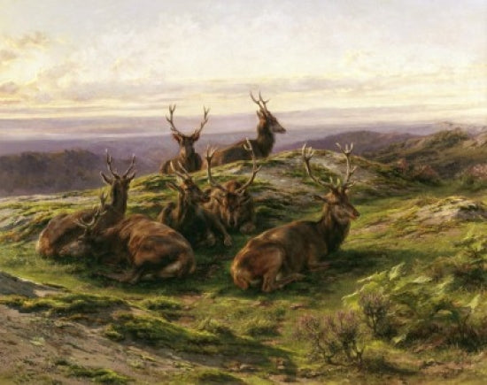 Stags at Rose poster print by Rosa Bonheur showcasing majestic stags in a lush landscape.