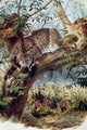 Spanish Lynx Poster Print showcasing the beauty of wildlife art.
