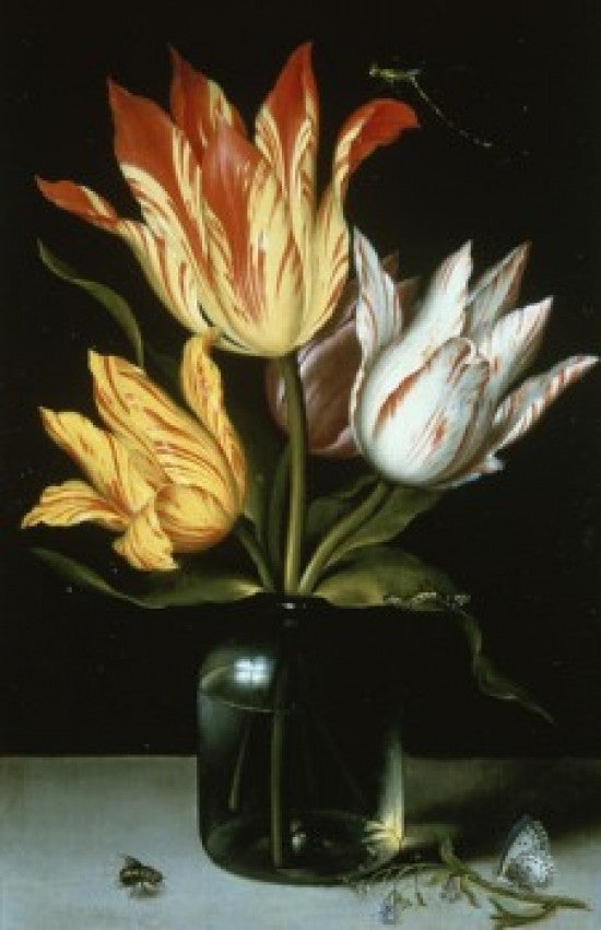 Tulips in a Glass Vase Fine Art Print by Ambrosius Bosschaert