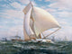 Flying Defender 1895 Poster Print artwork.