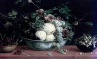 Fruits in a Bowl on a Red Table Cloth art print by Frans Snyders