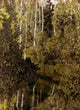 Early Spring art print by Mikhail Vasil'evich Nesterov, showcasing a serene spring landscape.