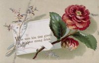 Flowers Nostalgia Cards Poster Print showcasing vibrant floral designs.