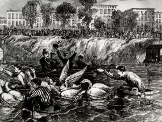 Goose Race poster print from September 23, 1869