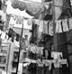 Low angle view of clothes drying on a clothesline poster print.