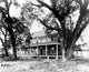 Palmer-Marsh House Historic Poster Print from North Carolina