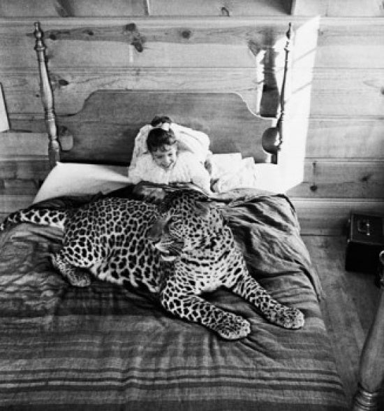 High angle view of a girl sitting on a bed with a leopard poster print.