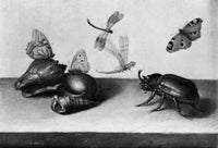Still Life with Insects art print by Margaretha de Heere, featuring intricate details of nature's beauty.
