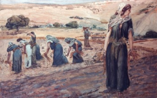 Ruth Gleaning Poster Print by James Tissot showcasing vibrant detail and biblical scene.