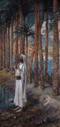 The Palm Tree Poster Print by James Tissot featuring vibrant colors and intricate details.