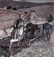 The Man at the Plough art print by James Tissot, showcasing rural life.