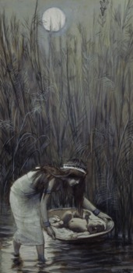 Moses Laid Amid the Flags art print by James Tissot, available in multiple sizes.