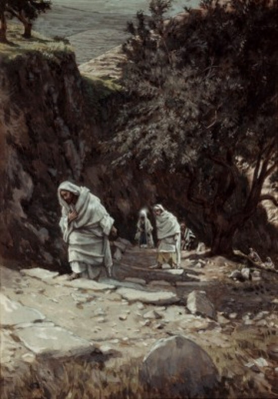Jesus On His Way to Ephraim poster print by James Tissot