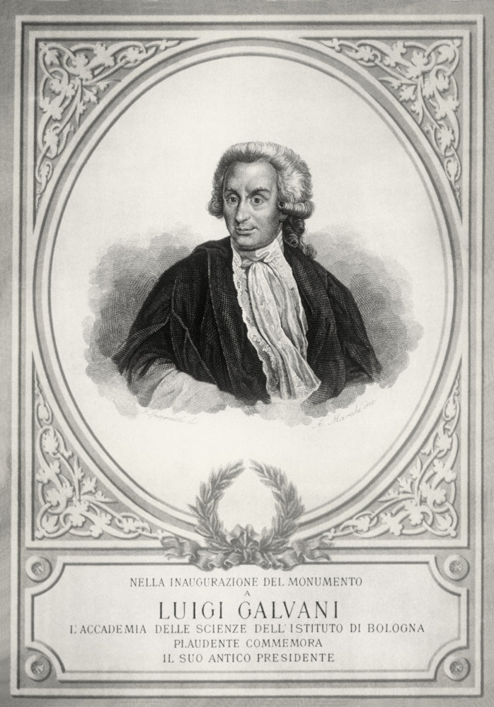 Luigi Galvani Poster Print showcasing the Italian Physician and Physicist