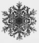 Snowflake Poster Print showcasing intricate designs and patterns