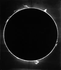 Solar Prominence Fine Art Poster Print showcasing vibrant solar activity.