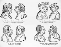 Physiognomy, Medieval Stereotypes Poster Print showcasing historical stereotypes.