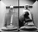 Animal Testing and Maternal Deprivation Poster Print educational artwork.