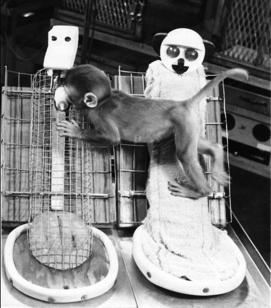Animal Testing and Maternal Deprivation Educational Poster Print
