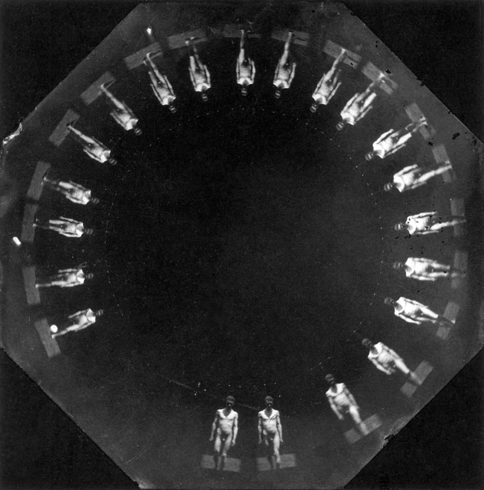 Marey Wheel Photographs 1884 Poster Print by Science Source