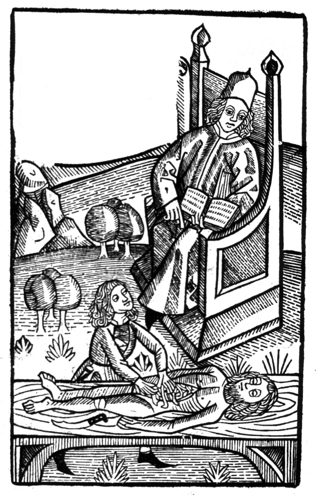 Public Anatomy Lesson 15th Century Poster Print by Science Source