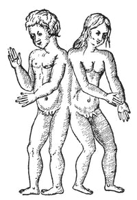 Hermaphroditic Conjoined Twins 16th Century Poster Print by Science Source