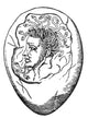 Monster Found In Egg 16th Century Poster Print