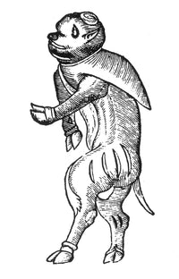 Hideous Monster 16th Century Poster Print by Science Source