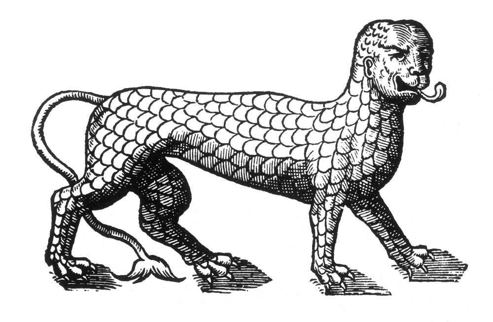 Sea Monster 16th Century Poster Print by Science Source, vibrant artwork on premium paper.